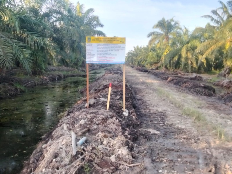 Pengerjaan Normalisasi Kanal di Sintong Pusaka Pakai Dana APBD Rohil Diduga Tidak Tepat Sasaran