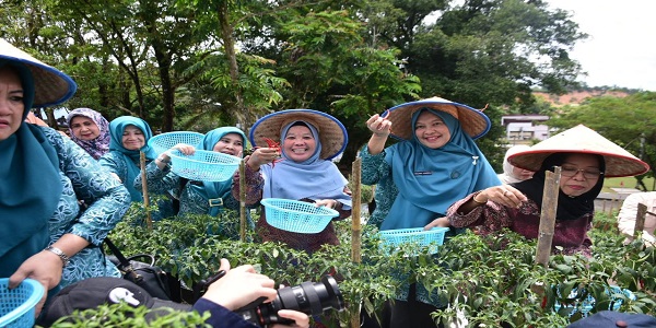 Menekan Terjadinya Inflasi, Ricana Djayanti Hambali bersama Pj Ketua TP-PKK Riau Melihat Program Gertam di Stanum Kecamatan Bangkinang Kota
