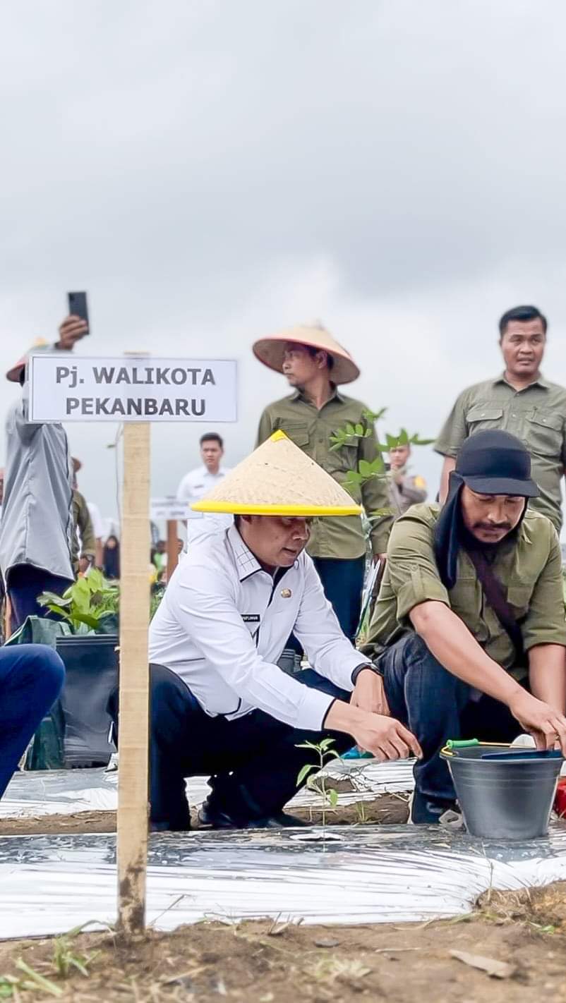 KWT Seluruh Kecamatan Dilibatkan dalam Gerakan Menanam Cabai di Pekanbaru