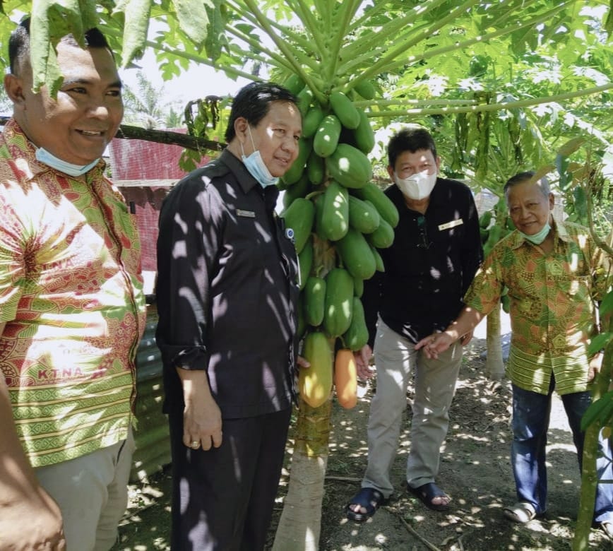 Di Pekanbaru Sudah Ada Pelatihan Pertanian Swadaya