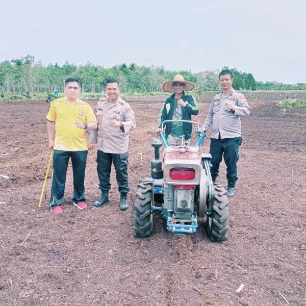 Polsek Bengkalis Dorong Koperasi Sri Bina Tanam 2 Ha Jagung Dukung Program Presiden Swasembada Pangan