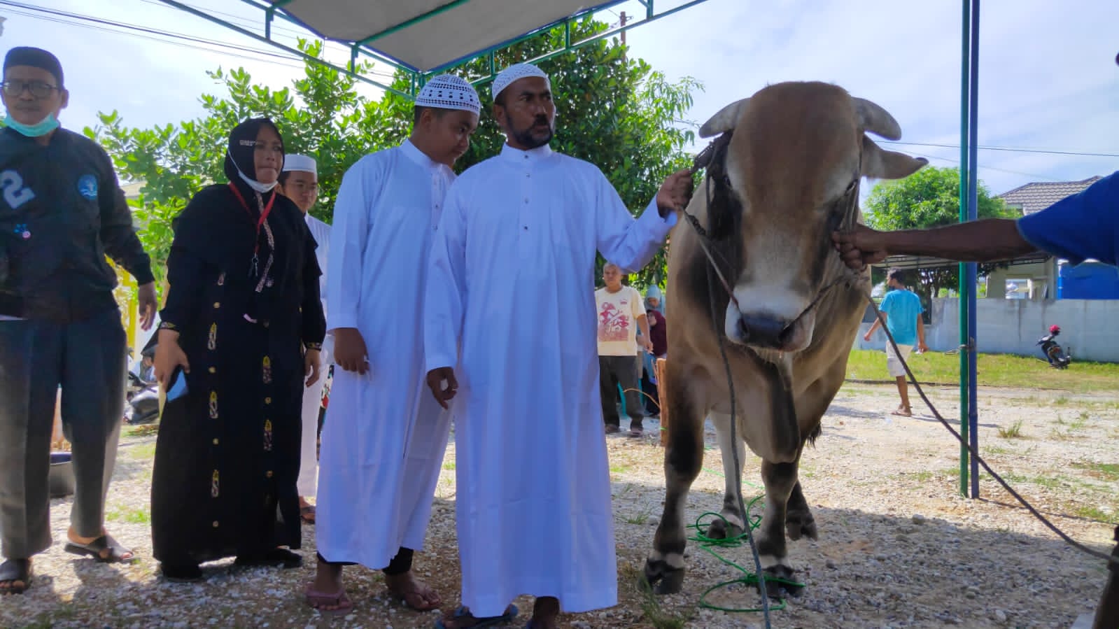 Sapi 1,373 Ton Disembelih Fathullah, Meskipun Pandemi, Kurban Tetap Meningkat Setiap Tahun