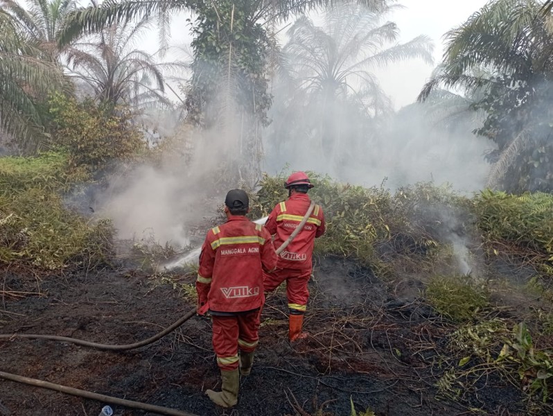 Karhutla di Riau, Manggala Agni Fokus Pendinginan di Rohil dan Siak