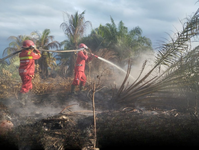 Karhutla Riau, Manggala Agni Hadapi Tantangan Berbeda di Tiga Daerah