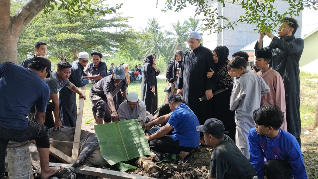 Amansyah dan Keluarga Sembelih 2 Ekor Qurban