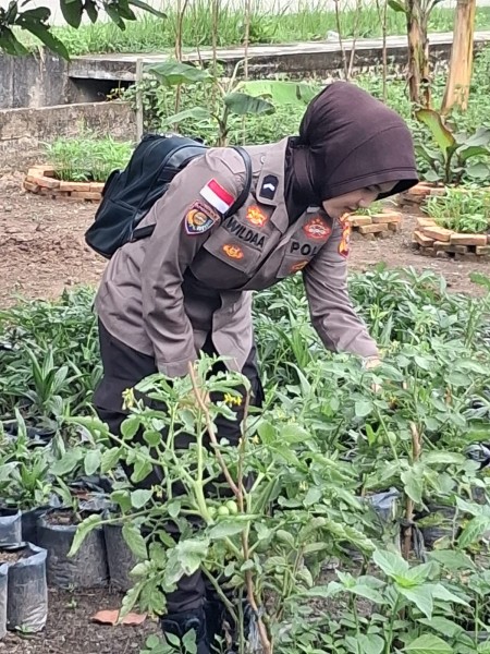 Polwan Polsek Rupat Pantau Program Pekarangan Bergizi
