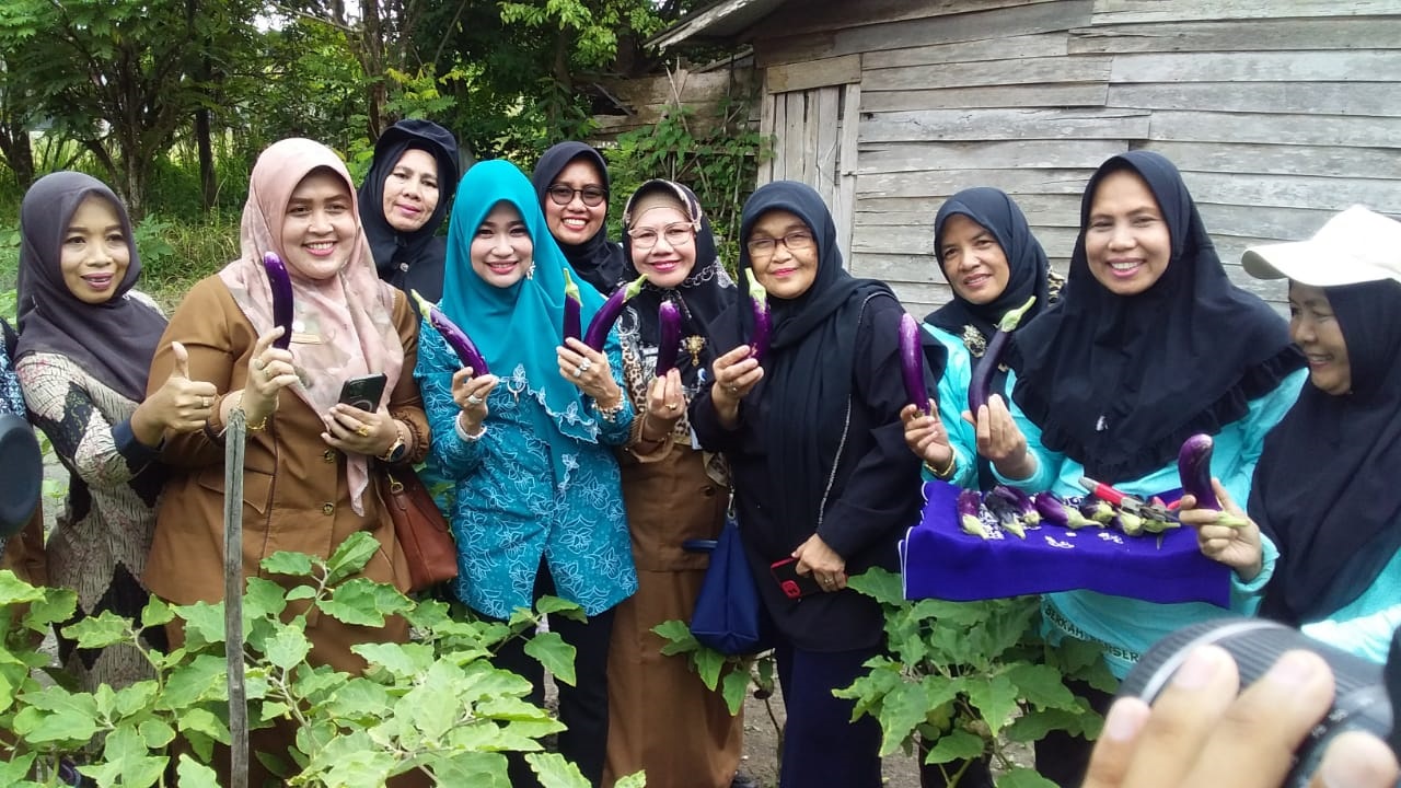 Raja Rilla Mustafa Panen Terung Hingga Cabai di KWT Binaan Disketapang