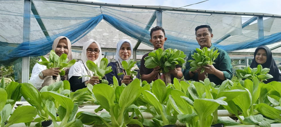 Kepala DKP Pekanbaru Puji Pertanian Hidroponik di DK Green Kulim