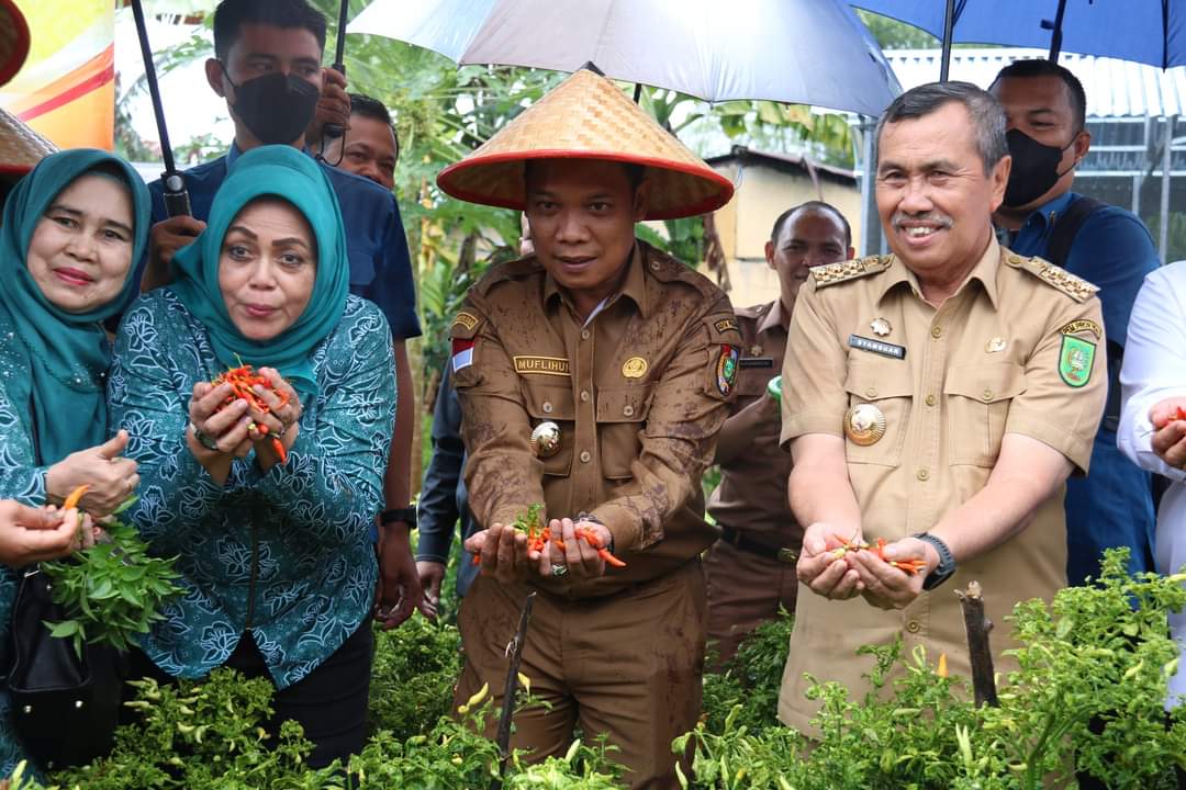ASN Pekanbaru Harus jadi Teladan Program Penanaman Cabai di Pekarangan