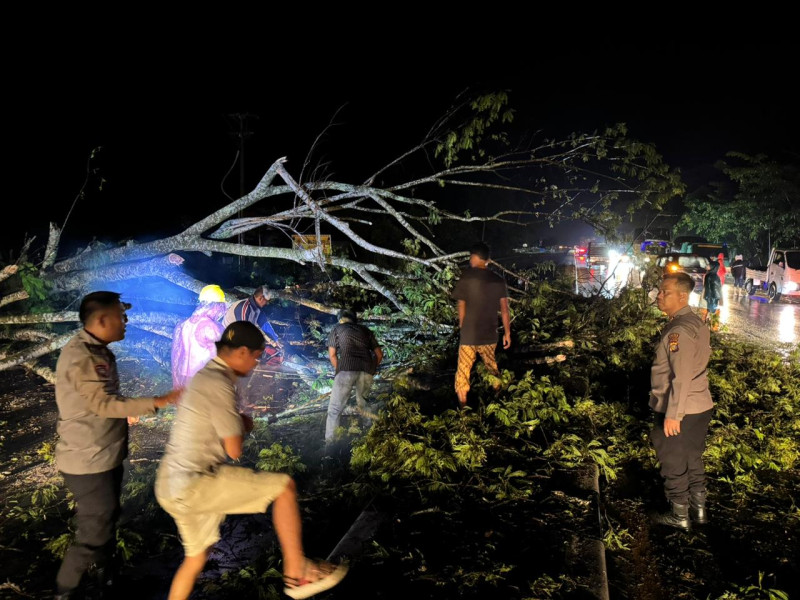 Hujan dan Angin Kencang Melanda Kampar, Masyarakat dan Polisi Berjibaku Bersihkan Pohon Tumbang