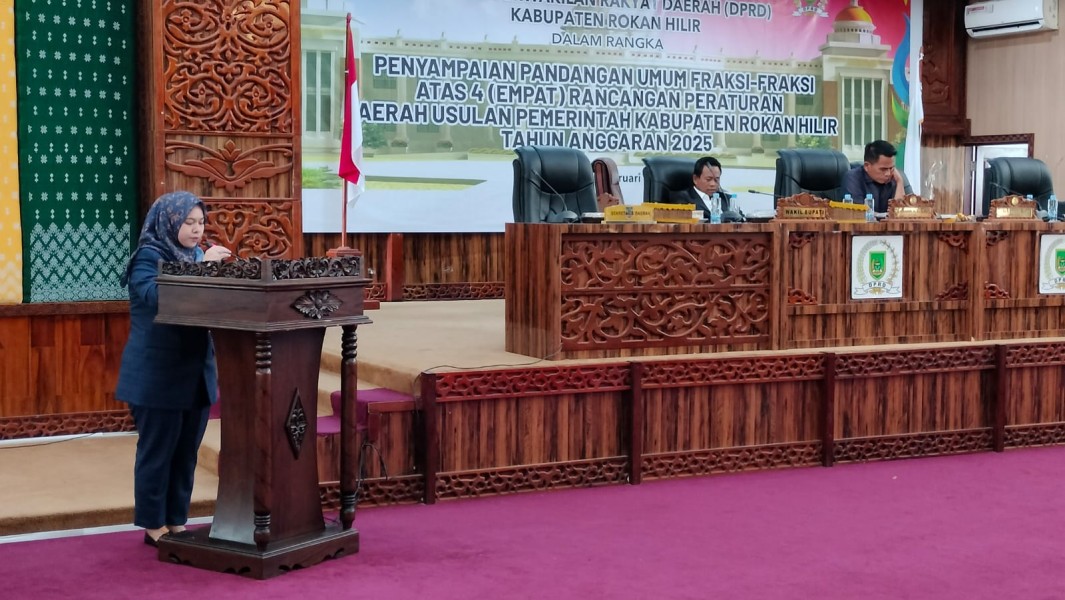 Fraksi Demokrat Khawatirkan Defisit Anggaran Di APBD 2025