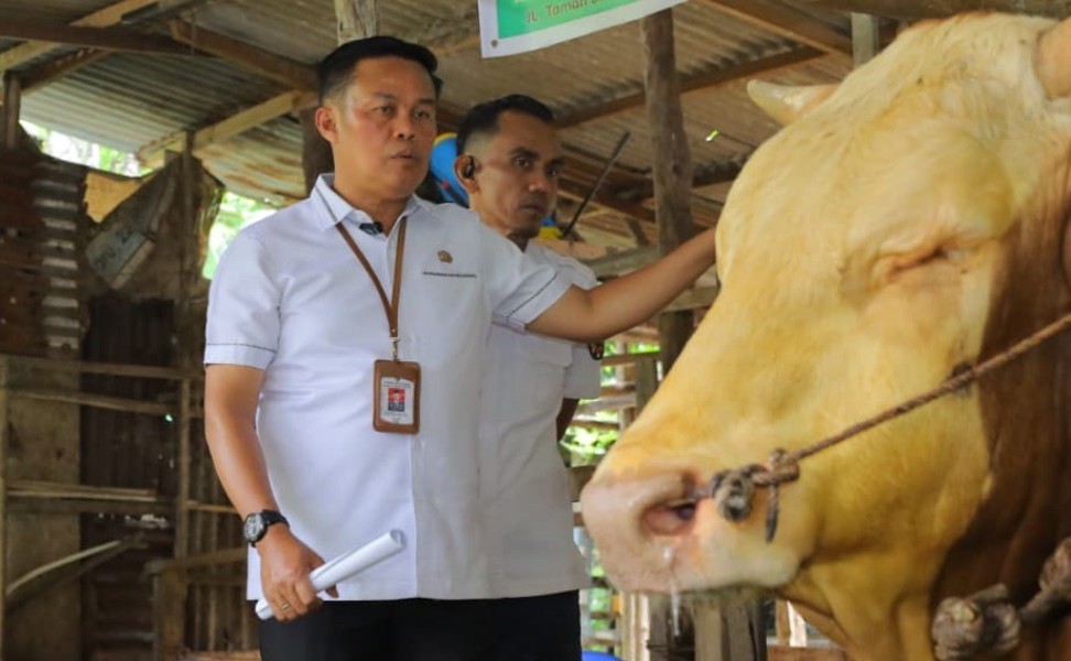 Jelang Idul Adha, Distankan Pastikan Hewan Kurban di Pekanbaru Sehat dan Layak Potong