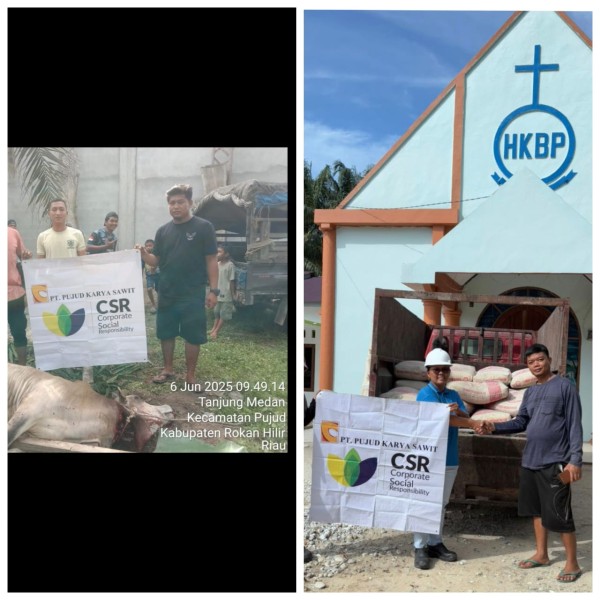 PT PKS Pujud Serahkan Hewan Kurban dan Bantuan Semen Lewat Program CSR