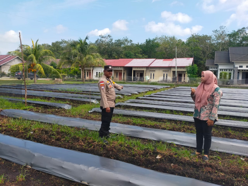 Polsek Bengkalis Gerakkan Petani Dukung Program Ketahanan Pangan Presiden