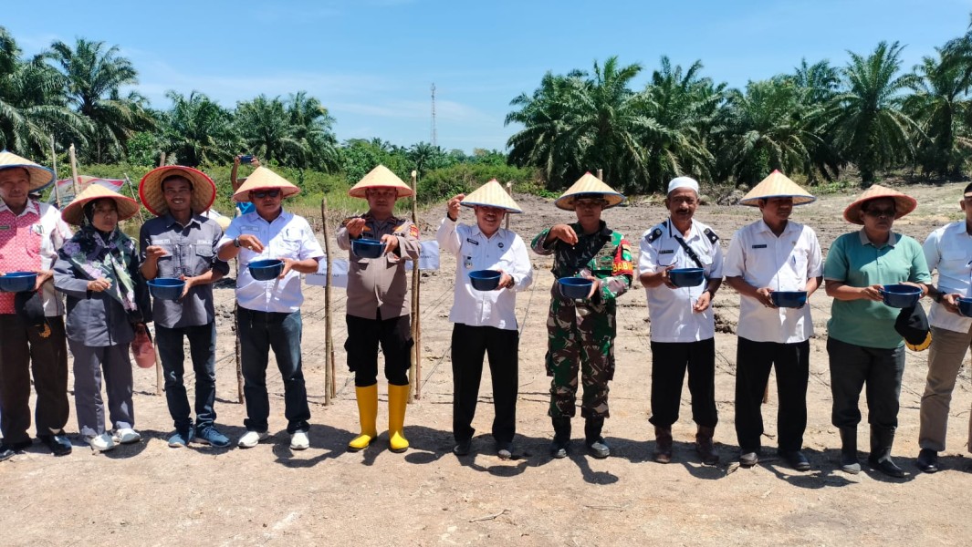 Swasembada Pangan, Bersama Polsek Rimba Melintang Pemkep Lenggadai Hulu Tanam Jagung Serentak Kuartal IV