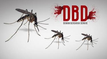 DBD di Pekanbaru Capai 112 Kasus, Berikut Sebarannya