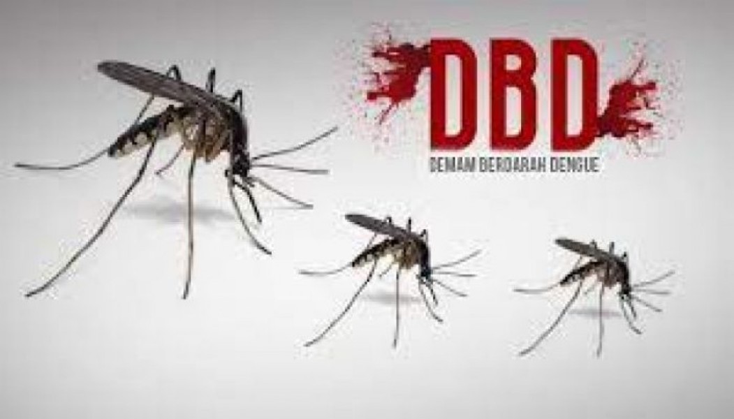 Kasus DBD di Riau Capai 1.682 Orang, 12 Warga Meninggal dalam Empat Bulan