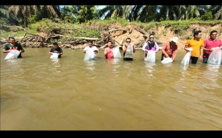 Komunitas Pagau Naghogi Tabur 10 Ribu Bibit Ikan di Sungai Tapung