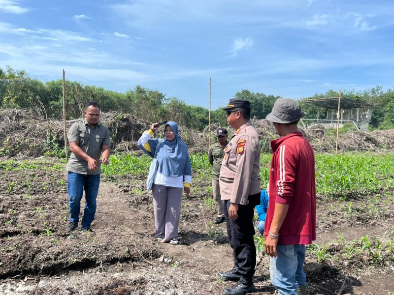 Dukung Program Ketahanan Pangan, Kapolsek Rupat Turun Langsung Tinjau Lahan Jagung Pipil