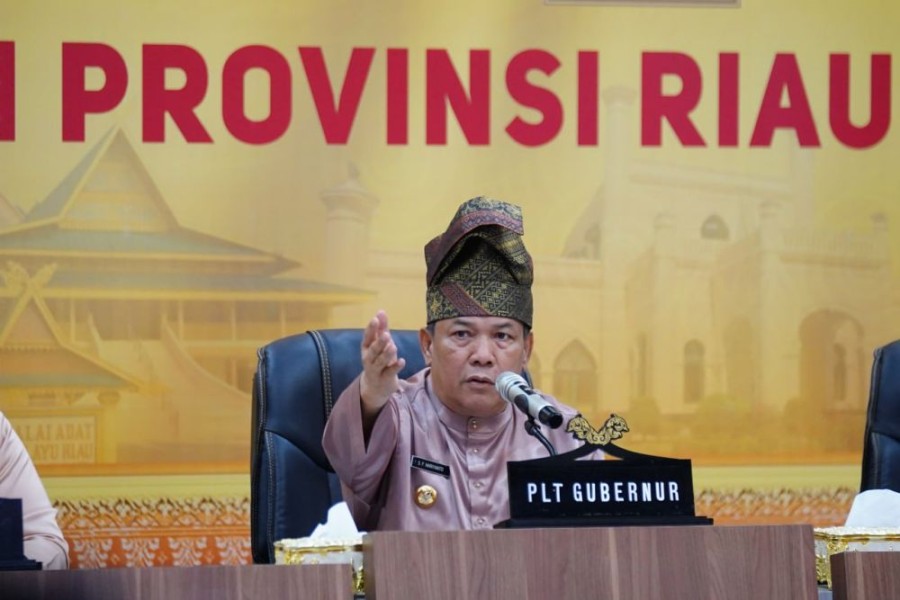 Indeks Desa Riau Peringkat 10 Nasional, 1.591 Desa Berstatus Maju dan Mandiri