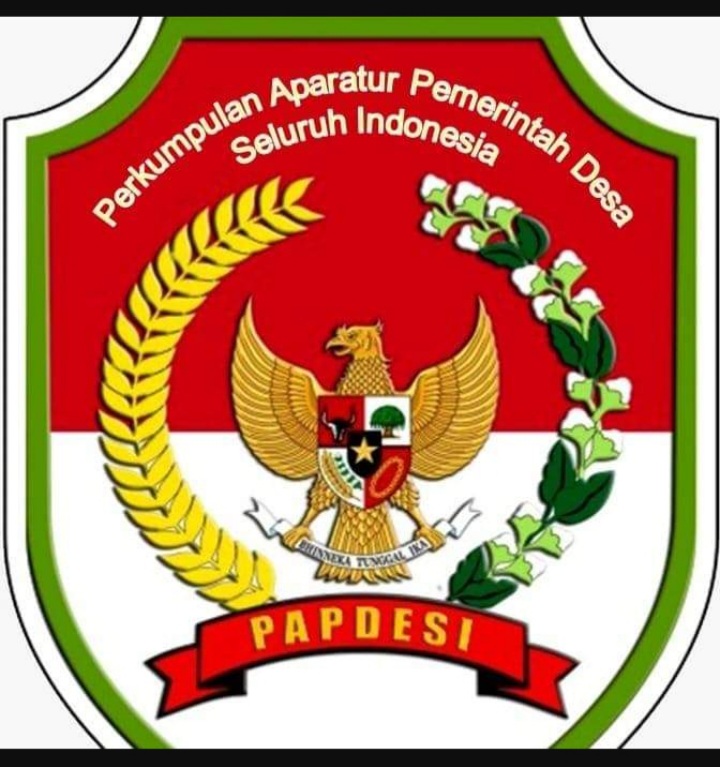 Penjelasan DPD PAPDESI Provinsi Riau, Terkait Pemberitaan Kas BUMDes Domo Kecamatan Kampar Kiri