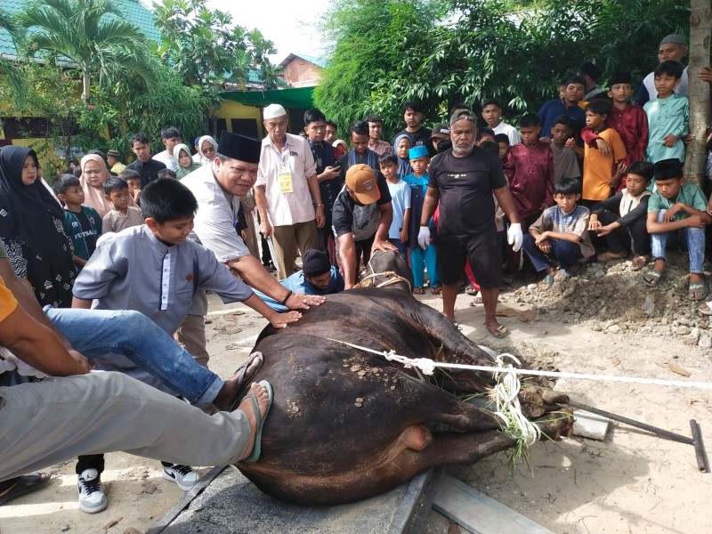 Keluarga Besar IKPS Kota Kota Dumai Kurban 15 Ekor Sapi Berbobot Setengah Ton