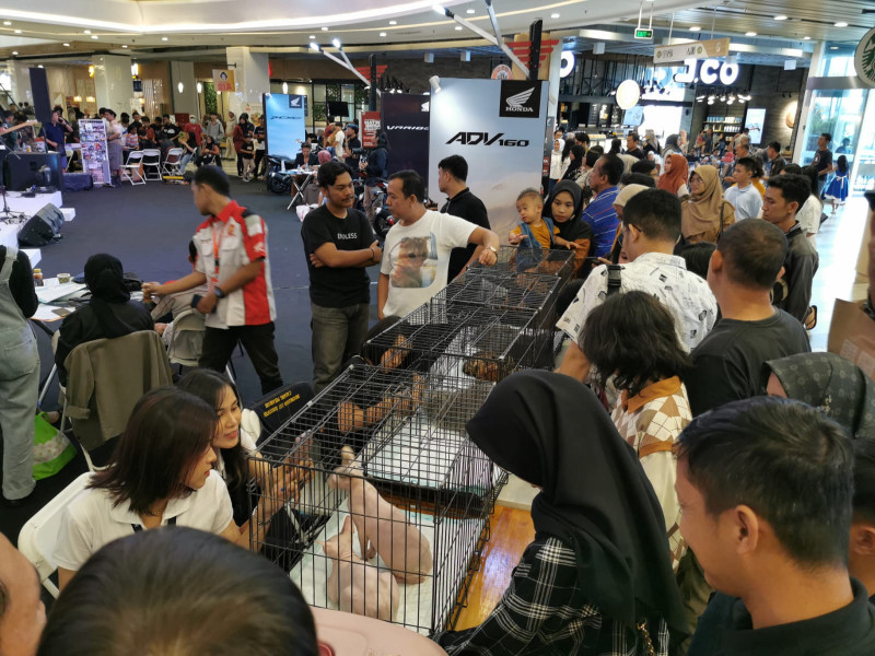 Meriah, Event Honda Premium Matic Day Ramai Kunjungan