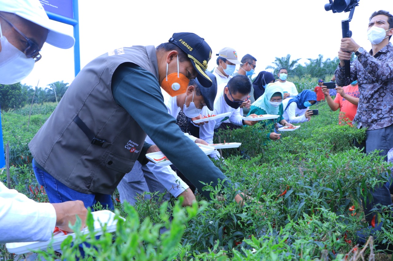 Penuhi Kebutuhan Pangan, Pemko akan Garap Lahan Tak Produktif di Pekanbaru